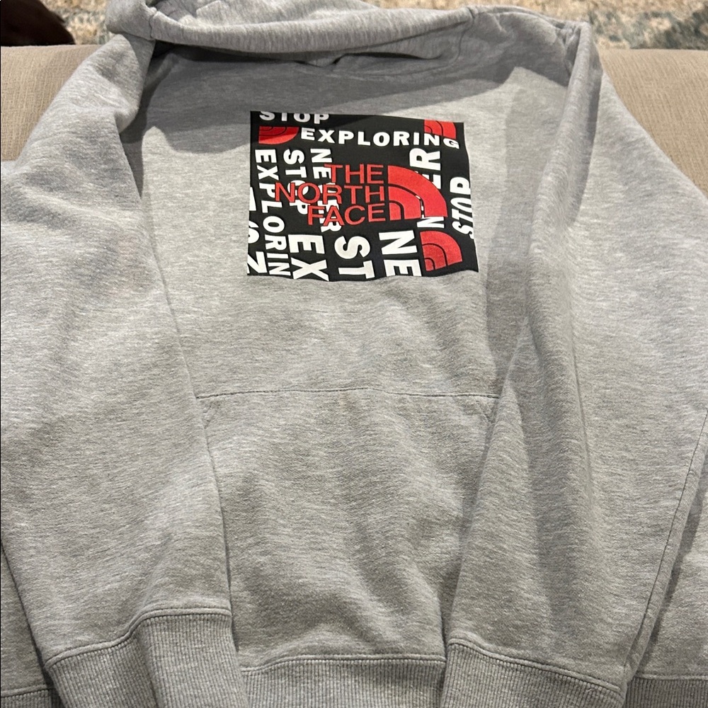 The North Face Gray Sweatshirt with Red and Black Graphic